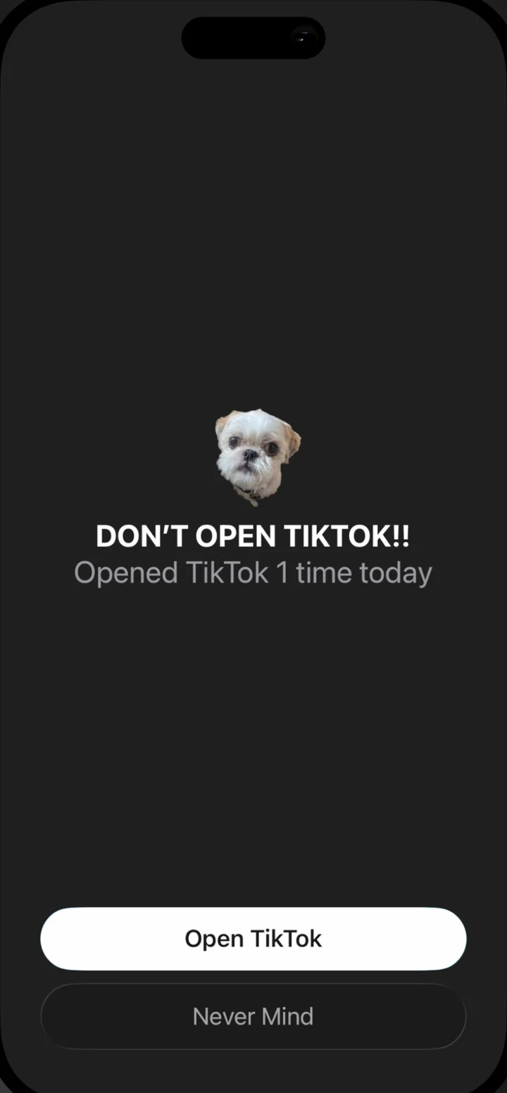 A Nudge block screen: Don't open TikTok, opened 1 time today, with Open TikTok and Never Mind buttons